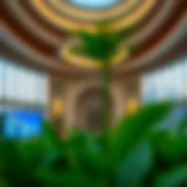 Magnificent Musataha: Understanding the Concept and Its Impact on Dubai's Real Estate Market Magnificent Musataha: Understanding the Concept and Its Impact on Dubai's Real Estate Market