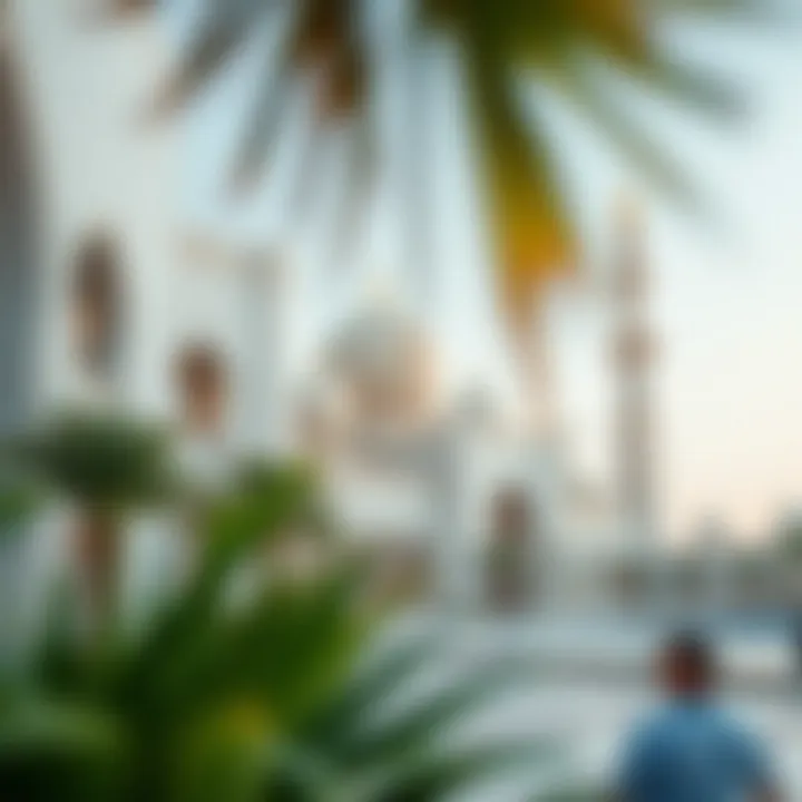 Magnificent Tourist Attractions in the UAE