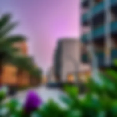 Accessing Essential Amenities in Dubai Local amenities surrounding a budget studio apartment