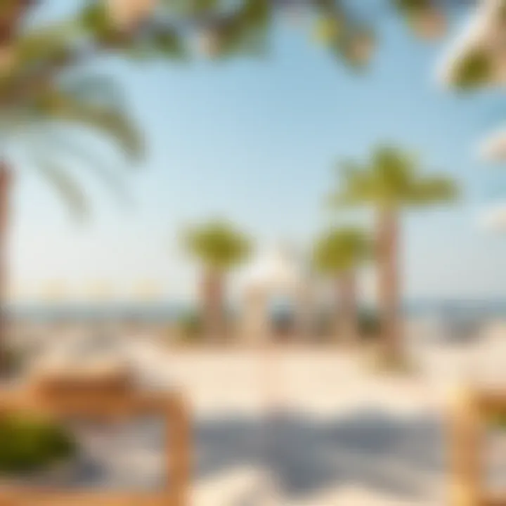 Vibrant community spaces and amenities around Al Mamzar Beach