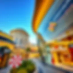 An In-Depth Exploration of Hills Mall Introduction