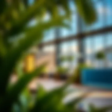 Luxurious Amenities at Bloom Heights Luxurious amenities at Bloom Heights that enhance lifestyle