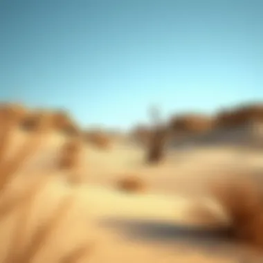 Environmental Aesthetics: Nature's Canvas in the UAE Stunning desert landscape, showcasing environmental beauty