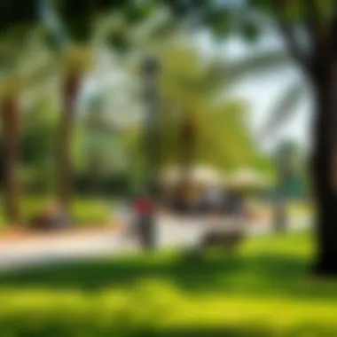 Vibrant community park with families enjoying leisure activities