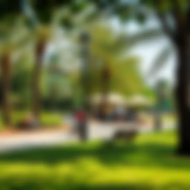 Vibrant community park with families enjoying leisure activities