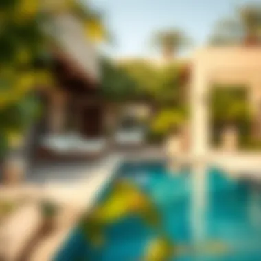 Farmhouse Outdoor Oasis Outdoor space featuring a swimming pool and lounge area at a Dubai farmhouse