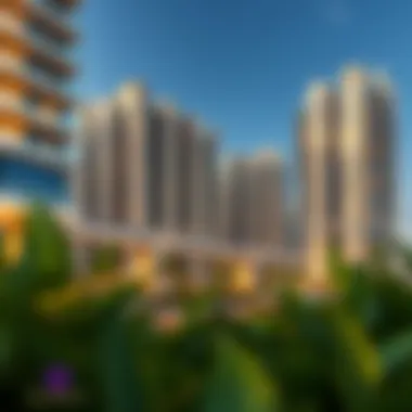 Future development plans of Deca Properties