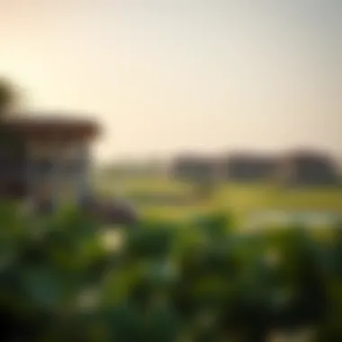 Overview of community amenities including golf course and recreational areas