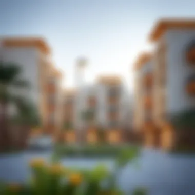 Community View of Al Warqa Community view of Al Warqa