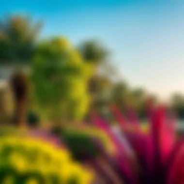 Vibrant view of Al Barsha South Park showcasing lush greenery