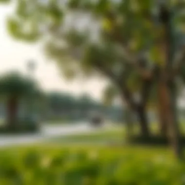 Green Spaces in Al Falaj A tranquil park in Al Falaj illustrating the neighborhood's green spaces.