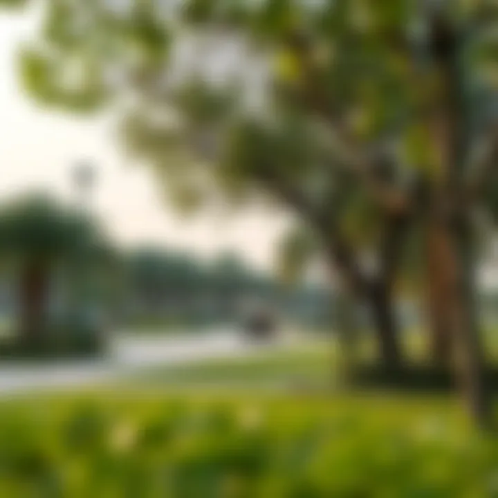 Green Spaces in Al Falaj A tranquil park in Al Falaj illustrating the neighborhood's green spaces.