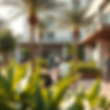 Community Life in Al Fishtival City Vibrant community spaces in Al Fishtival City filled with greenery and activity