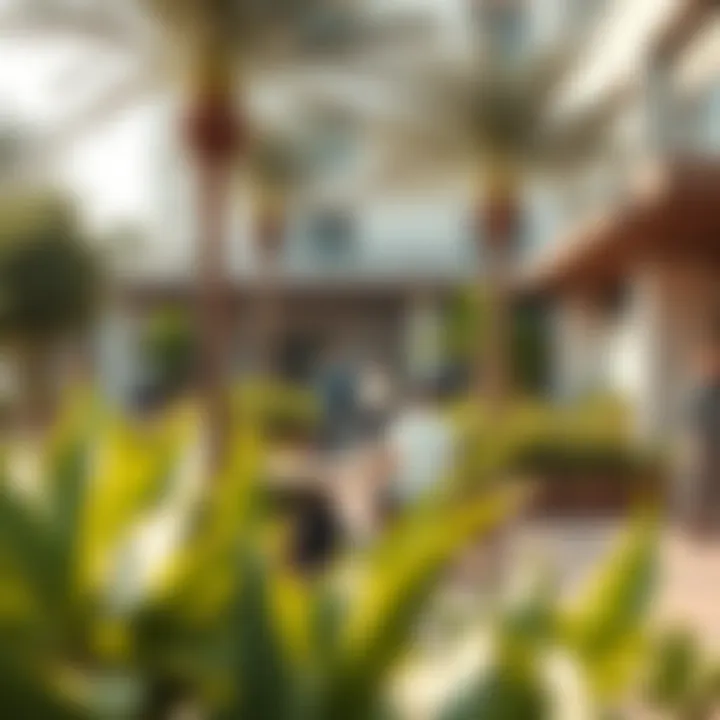 Community Life in Al Fishtival City Vibrant community spaces in Al Fishtival City filled with greenery and activity