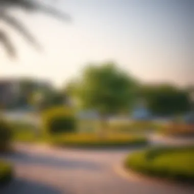Recreational areas and parks in Al Jaddaf area