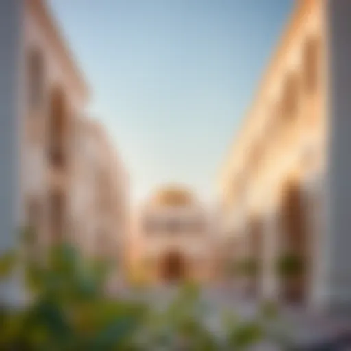 Exploring Al Rumailah: An Insight into a Flourishing Neighborhood in Dubai Introduction