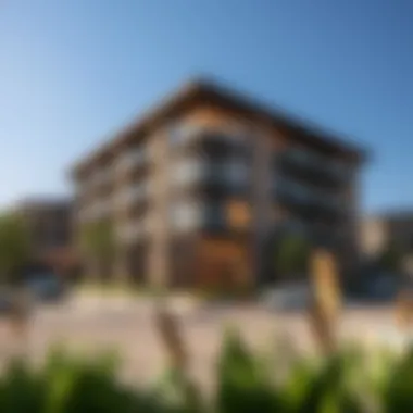 Embracing a Vibrant Lifestyle in Villanova Vibrant lifestyle in Villanova