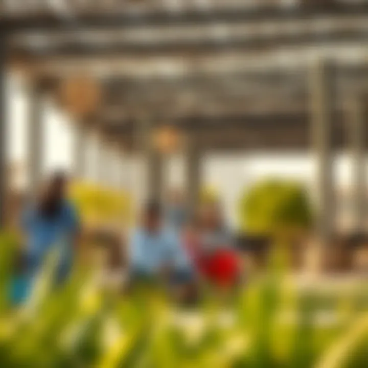 Community Lifestyle Experience Vibrant community lifestyle in Arabian Ranches 3, featuring families enjoying outdoor spaces