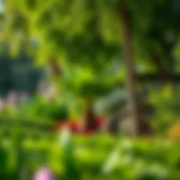 Lush greenery of Bateen Park showcasing diverse plant species