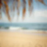 A serene beach with golden sands and gentle waves