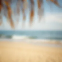 A serene beach with golden sands and gentle waves