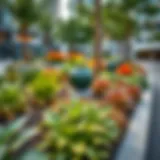 A vibrant discovery garden bed featuring a variety of plants in an urban setting