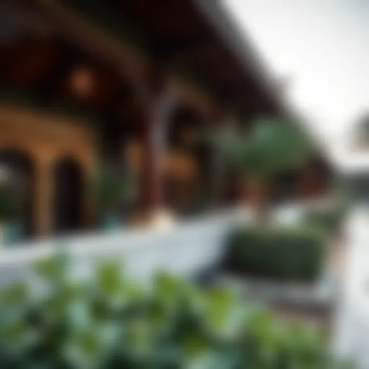 Architectural details of the cultural structures within Hatta Park