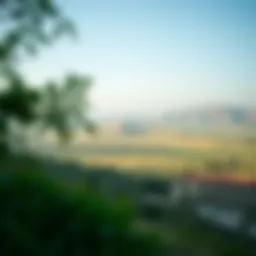 Panoramic view of Hatta Park showcasing its lush greenery and serene landscapes