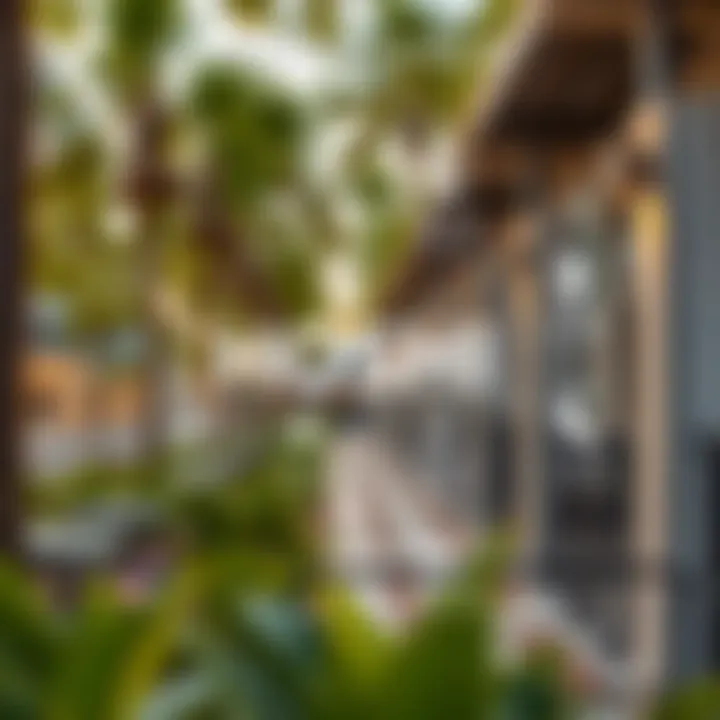 Infographic displaying key amenities available near Hoshi.