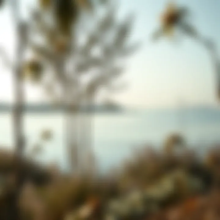 Ecological survey highlighting the biodiversity around Lake Dubai