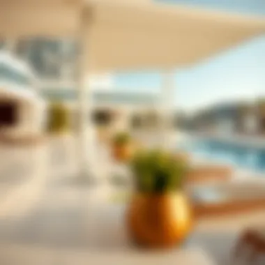 The luxurious amenities available at Marina Park, highlighting leisure and relaxation areas