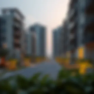 Contemporary Housing Options in Mohamed Bin Zayed City Modern residential buildings in Mohamed Bin Zayed City