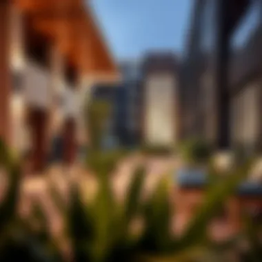 Vibrant community spaces in Al Nahda