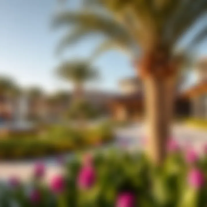 Community Amenities in Point West Community amenities in Point West highlighting recreational facilities and parks