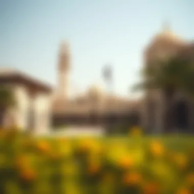 Historical landmarks in the رحبة area representing its cultural significance