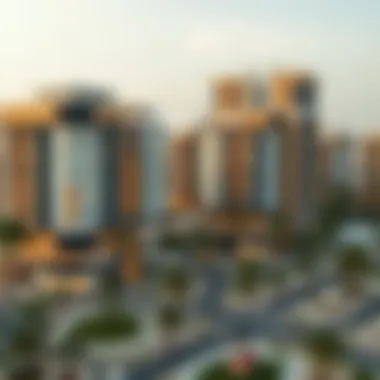 Infographic detailing the rental process and pricing dynamics in International City