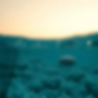 Notable Exploring Suwaidi Pearls: A Deep Dive into Dubai's Treasured Marine Wealth Notable Exploring Suwaidi Pearls: A Deep Dive into Dubai's Treasured Marine Wealth