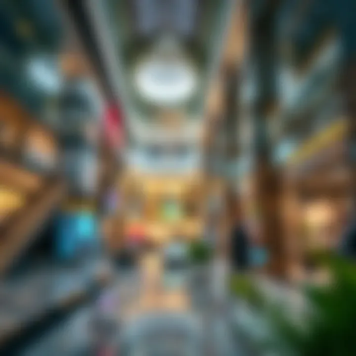 Interior shot showcasing luxury retail in a megamall