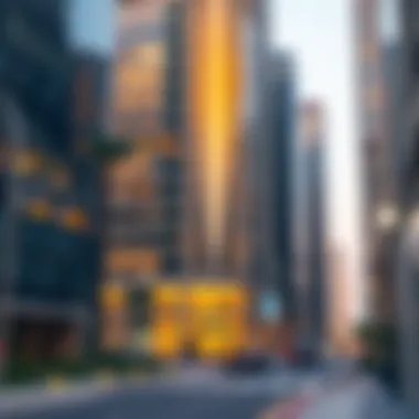 Exploring the Downtown Area of Dubai: A Paradigm of Modern Urban Living Summary