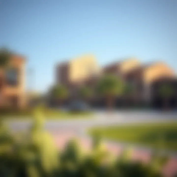 Vibrant community spaces in Damac Hills with modern amenities