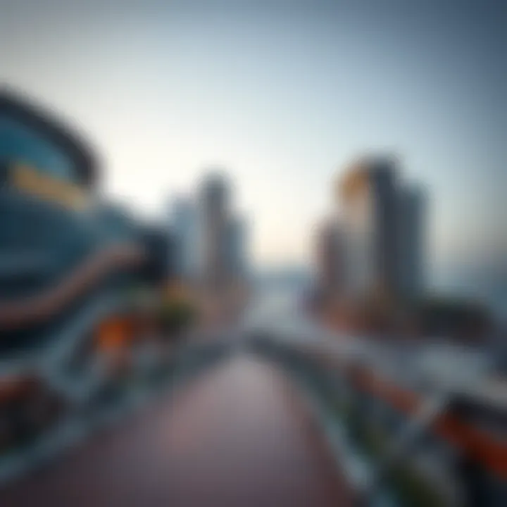 A panoramic view of the JBR Walk showcasing the vibrant promenade