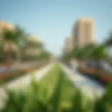 Green Spaces Enhancing Sharjah's Urban Life Public spaces and parks in Sharjah