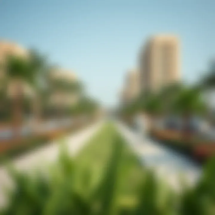 Green Spaces Enhancing Sharjah's Urban Life Public spaces and parks in Sharjah