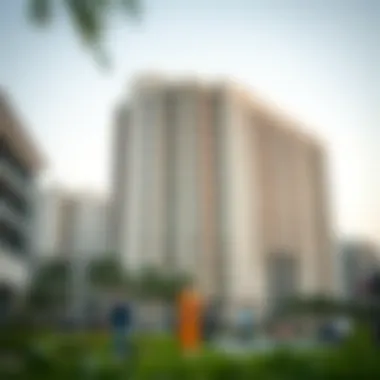 Community Engagement Around the Saleh Building Community engagement around the Saleh Building highlighting its neighborhood impact