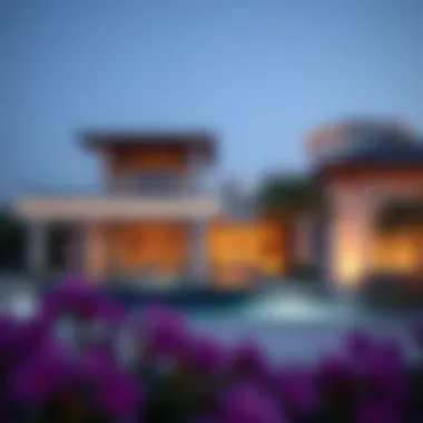 Investment opportunities in real estate market