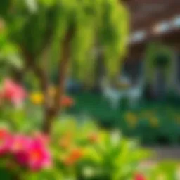 A vibrant farm garden showcasing diverse plant species in Emaar Properties.