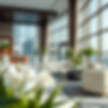 Amenities available in Rashidiya rental flats