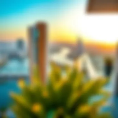 Breathtaking Horizons: Balcony Views at Hayli Rotana Stunning panoramic view from a balcony at Hayli Rotana