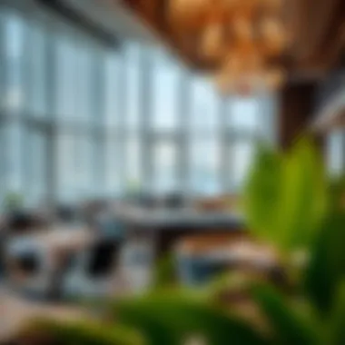 Dining options at Hyatt Regency Dubai Healthcare City