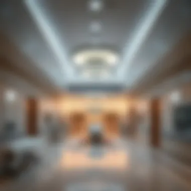 State-of-the-Art Healthcare Facilities Modern healthcare facilities in Dubai Healthcare City